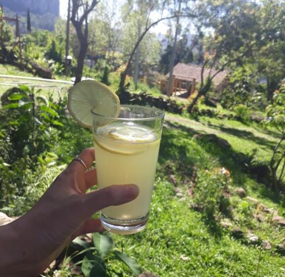 بنسيون Eco Aldeia
