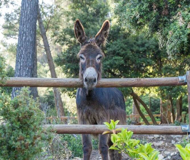 فندق Masia Ventanell Luxury Villa Near Barcelona