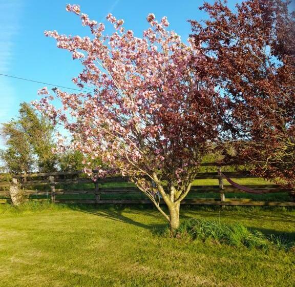 مبيت وإفطار Shadowvale E34x773