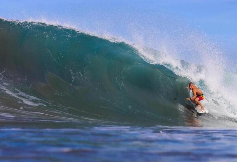 منتجع Cabana Surf And Stay