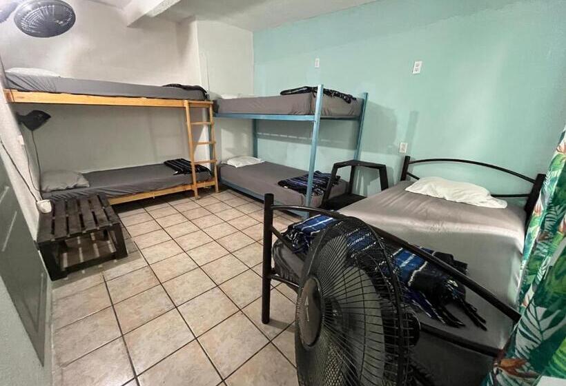 پانسیون Nómadas Hostel