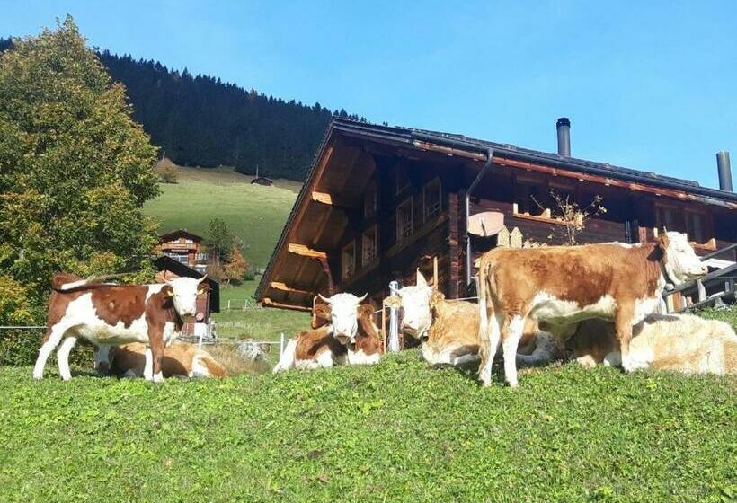 Olle And Maria S B&b
