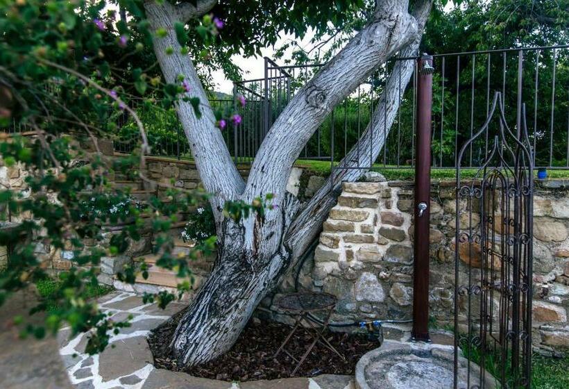 住宿加早餐  Palazzo Cantarella Stella Cilento