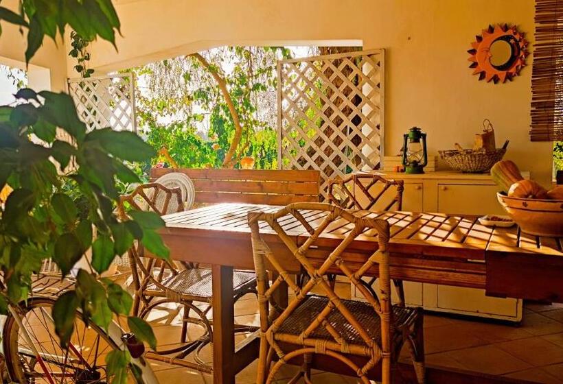 Bed and Breakfast Stanze Di Campagna