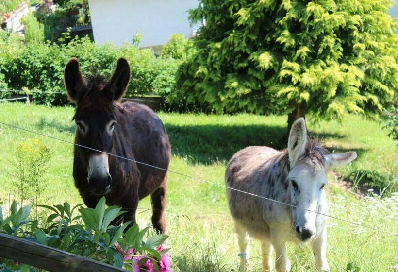 بنسيون Chambres D Hôtes à La Campagne