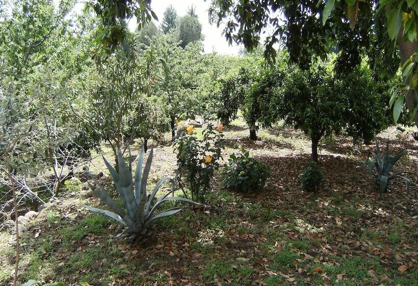 تختخواب و صبحانه Baglio Delle Rose