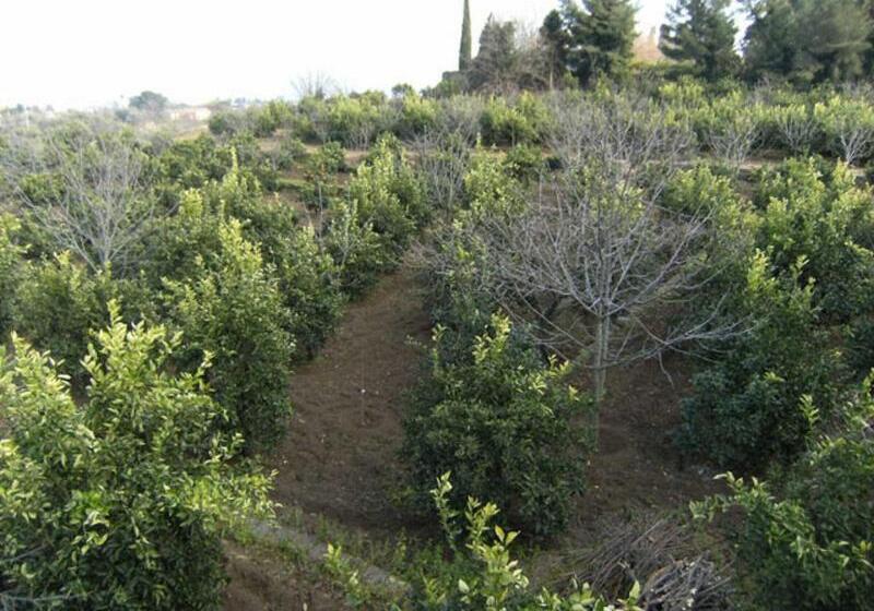 تختخواب و صبحانه Baglio Delle Rose