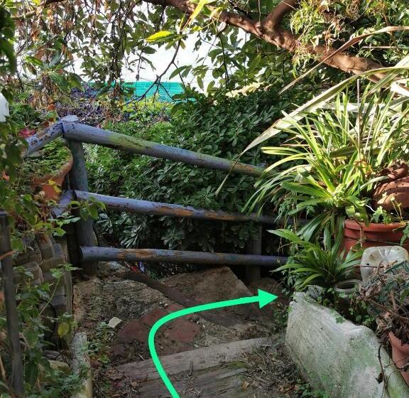 مبيت وإفطار Romantic Casa Lorenzina Affittacamere