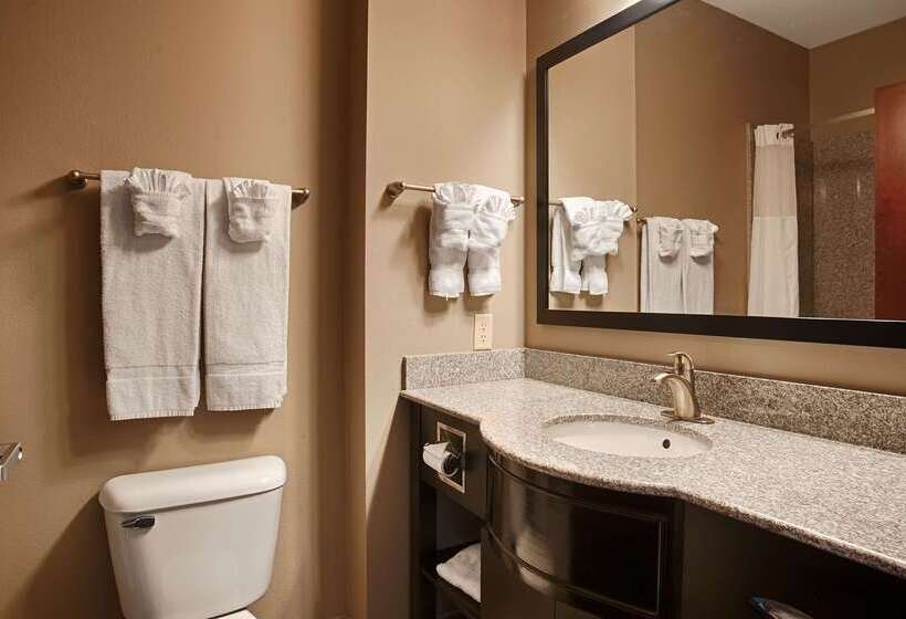 בית מלון כפרי Best Western Abbeville Inn And Suites