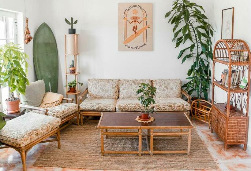 פנסיון Lemontree Eco Surfhouse