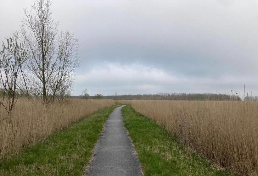 ベッドアンドブレックファースト Appartement Greidesicht Kollumerpomp