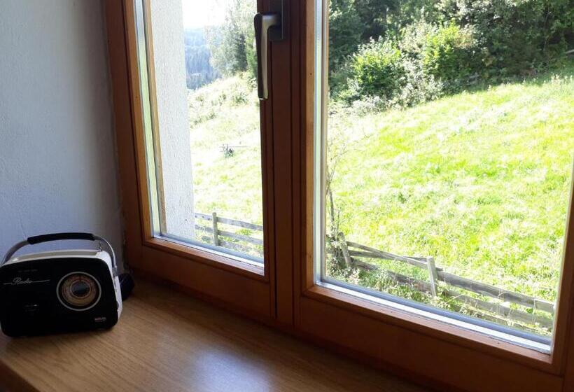 Отель Graslandhof