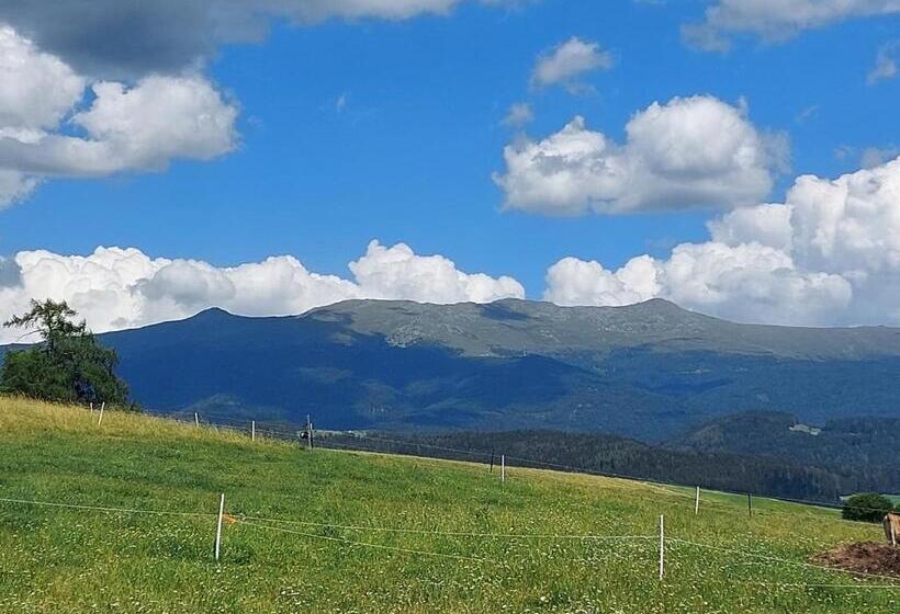 Отель Graslandhof