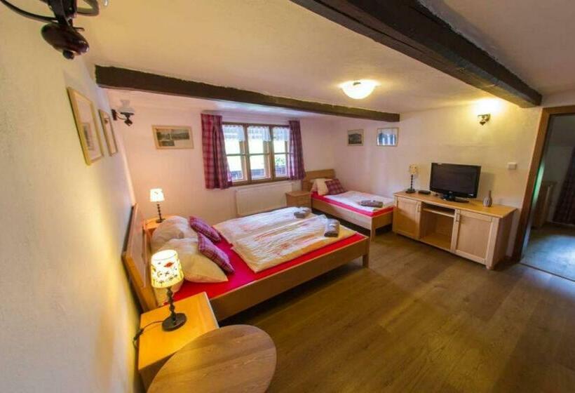 ペンション Penzion U Zlomené Lyže