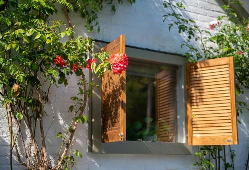 צימר Lodge & Loft