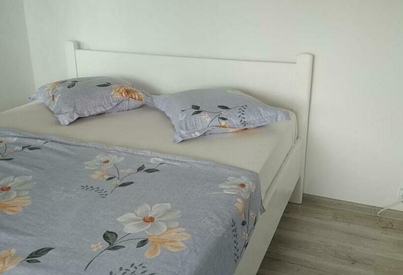 פנסיון Casuta Teo