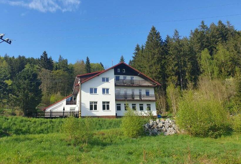 Отель Penzion Lumis