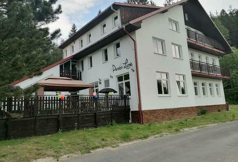 Отель Penzion Lumis
