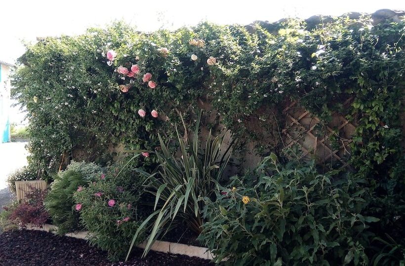 ベッドアンドブレックファースト La Vigneronne