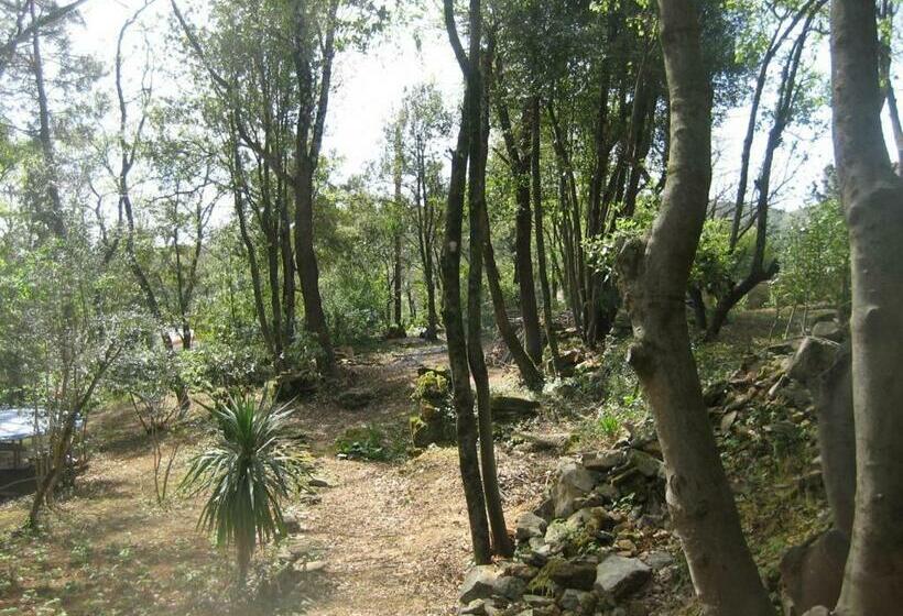 膳宿费 La Petite Bambouseraie