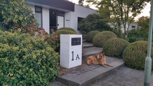B&b Eikendreef