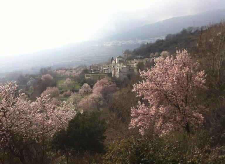 צימר Alpujarra Guesthouse, Habitaciones En Un Cortijo Sostenible Y Aislado En Medio De La Nada En Parque