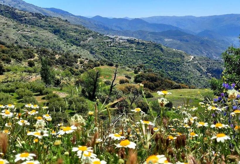 צימר Alpujarra Guesthouse, Habitaciones En Un Cortijo Sostenible Y Aislado En Medio De La Nada En Parque
