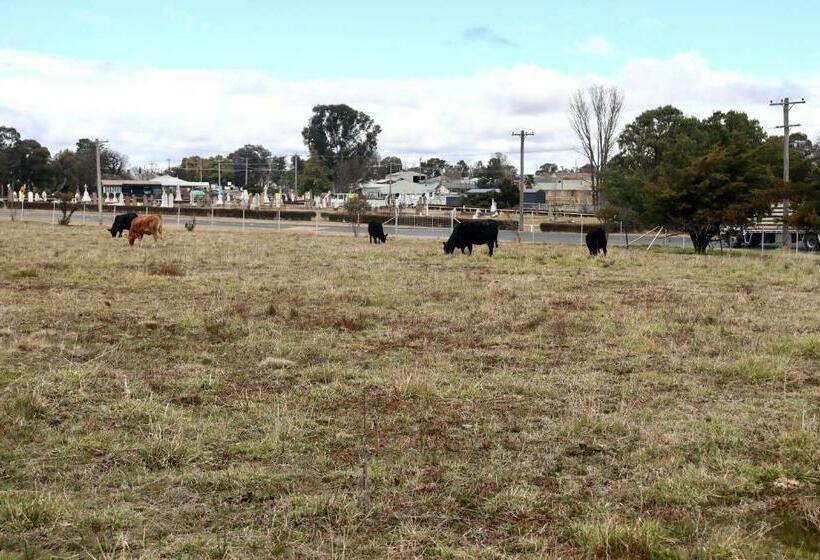 مبيت وإفطار Clover Cottage Uralla