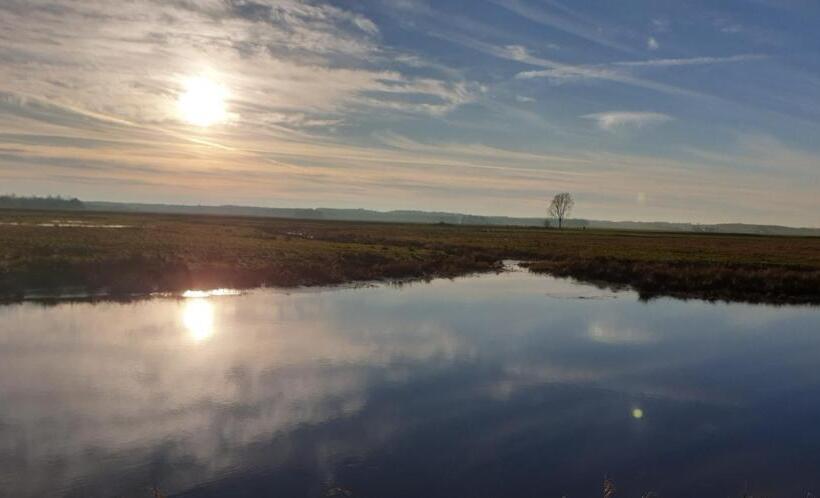مبيت وإفطار Guesthouse Het Gouden Eiland