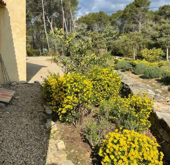 ベッドアンドブレックファースト Villa Peylon