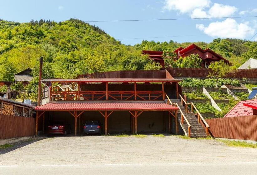 پانسیون Casa Dintre Munti Karina