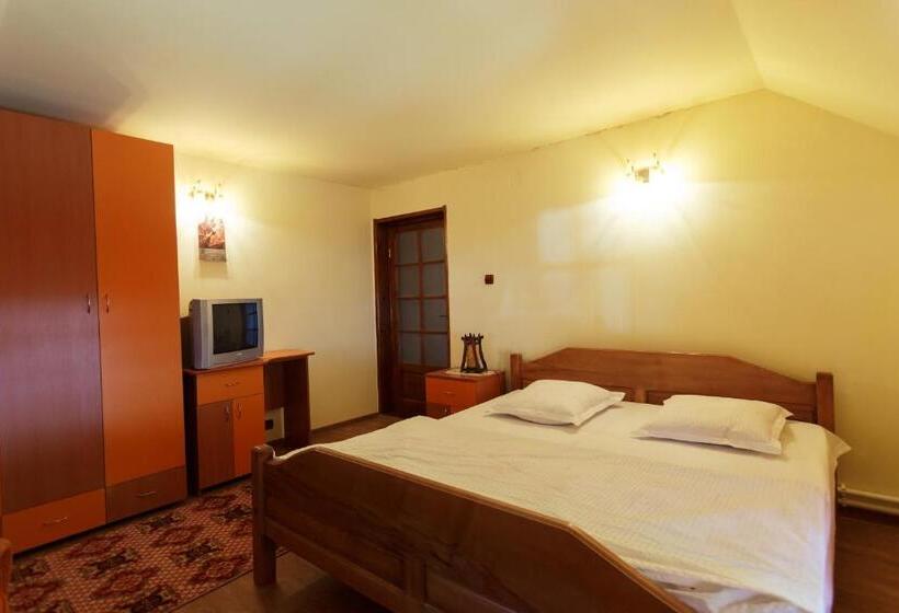 پانسیون Casa Dintre Munti Karina