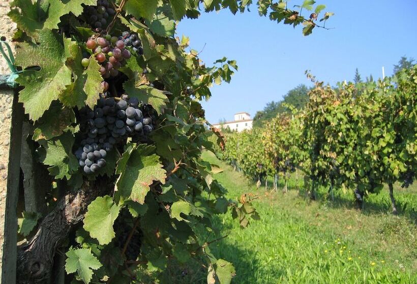 Agriturismo La Moraia