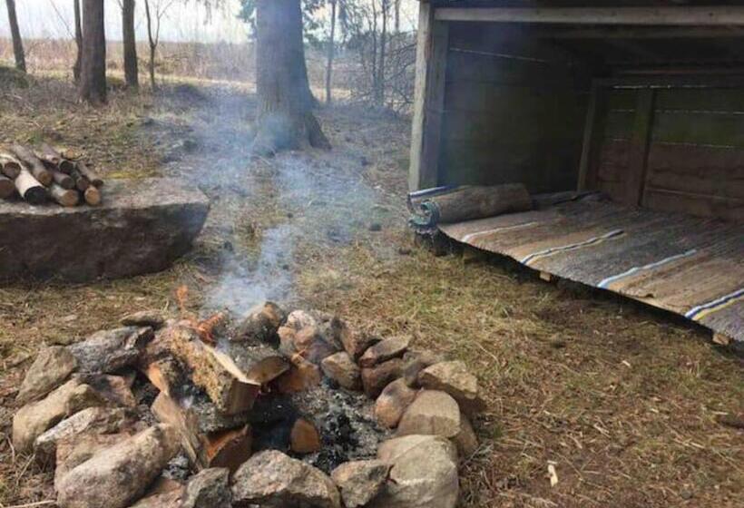 ホテル Niiralan Tila : Starlite Cabin