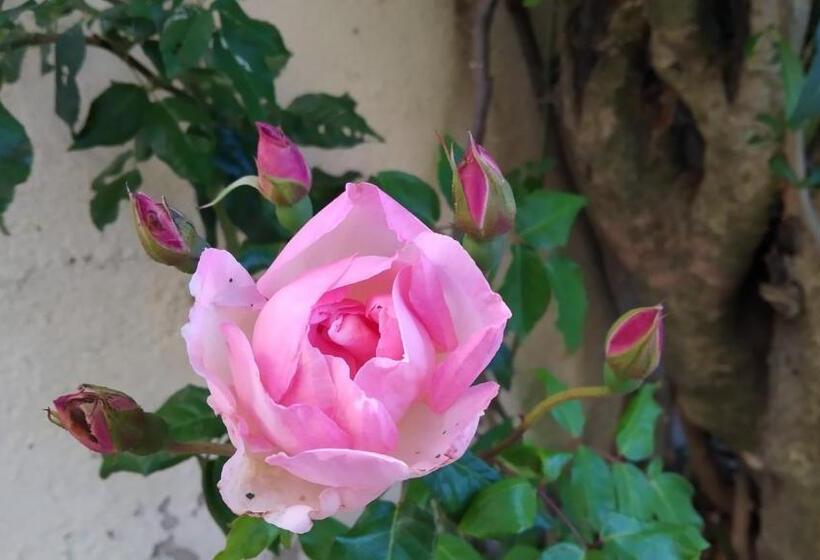 פנסיון Forever São Brás