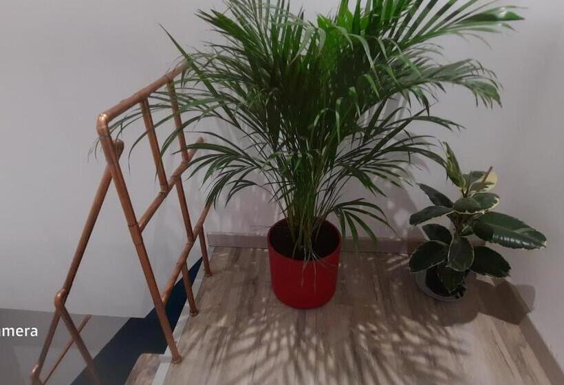 פנסיון Nuit Insolite Room Love