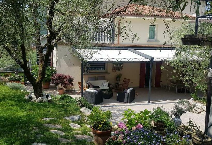 B&b Forsesiforseno