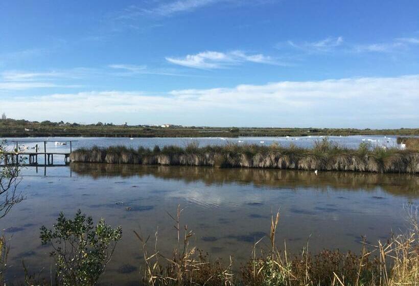 مبيت وإفطار Le Teich Tranquille