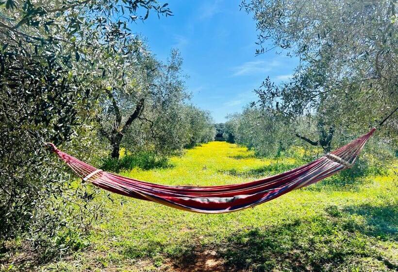 B&b Valle D Oro