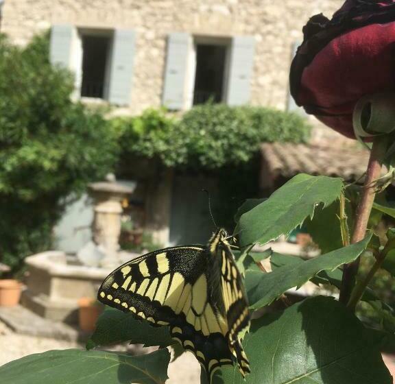 Bed and Breakfast La Figuiere Fontaine De Vaucluse