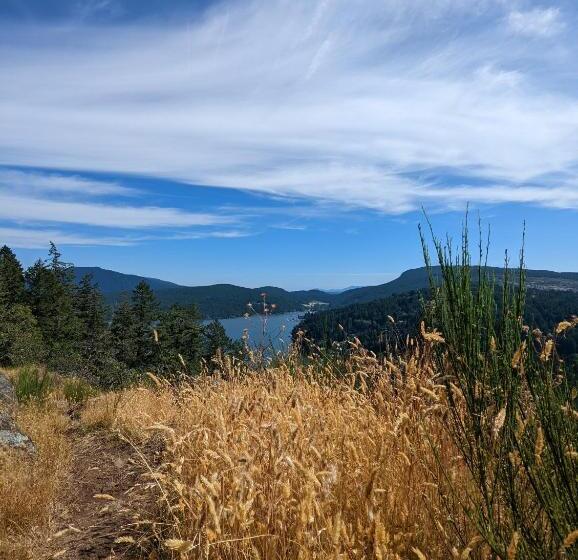 مبيت وإفطار Maple Rise Guesthouse