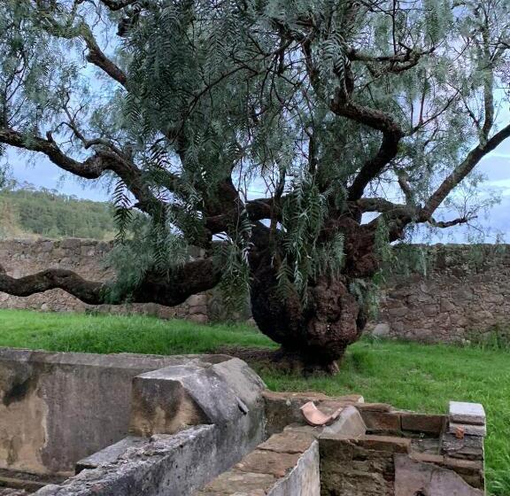 هتل Antigua Hacienda Metepec