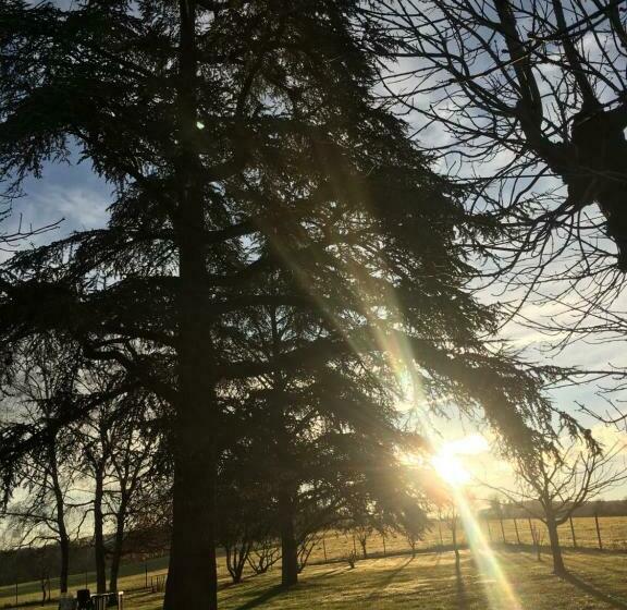 膳宿费 Chambres Et Table D Hôtes Le Cèdre Aveyron