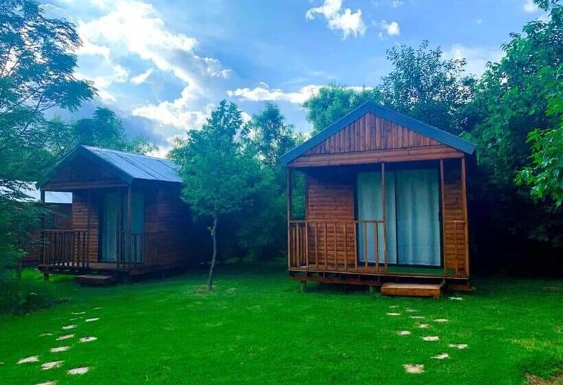 ペンション Kameeldoring Guest House