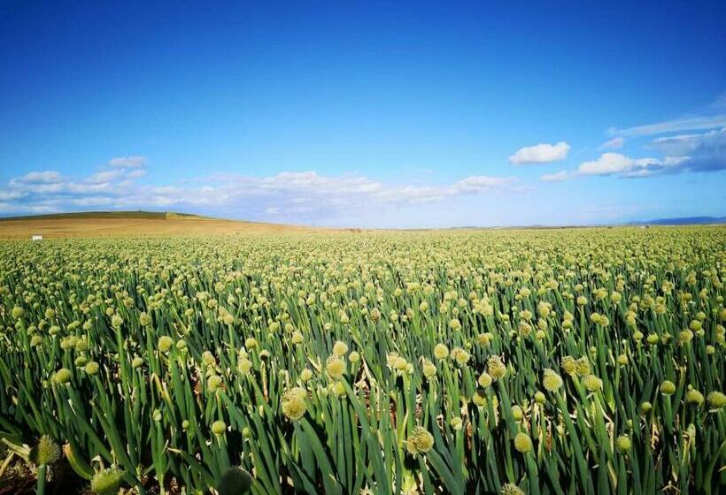 פנסיון Oorvloed Guesthouse