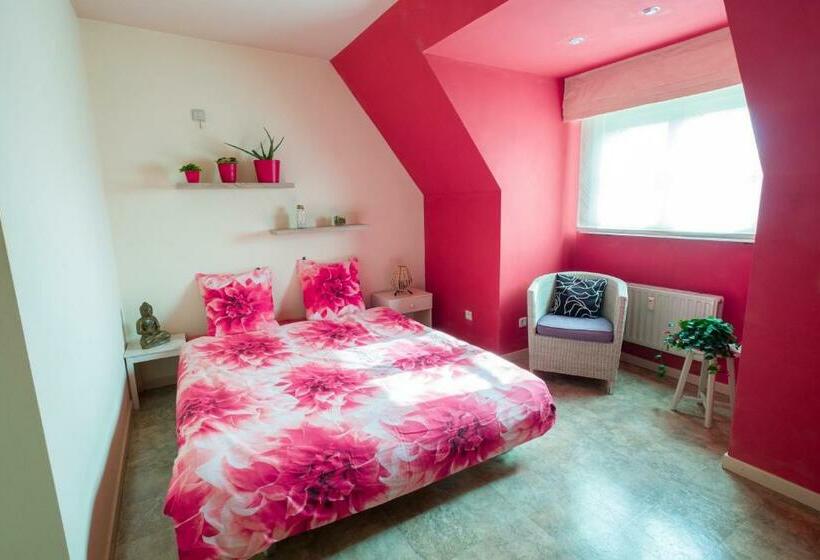 פנסיון Shamballa B & B/ Logies