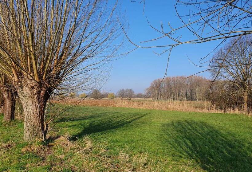 B & B De Stok