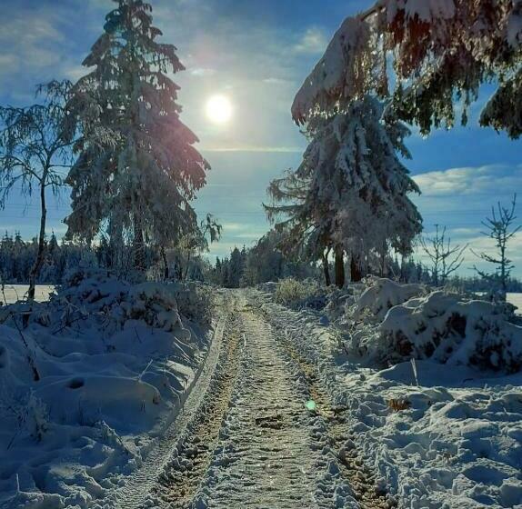 تختخواب و صبحانه Aux Capucines