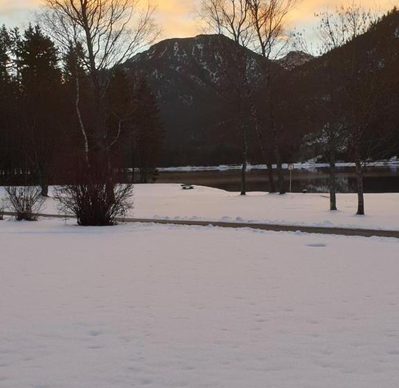 旅馆 Ammerwald Alm