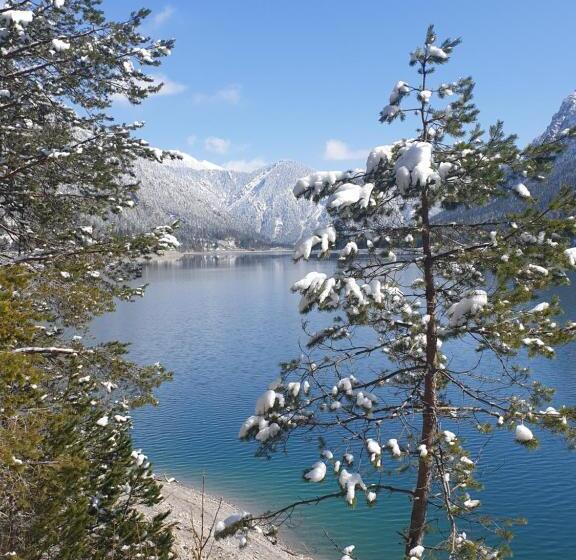 旅馆 Ammerwald Alm